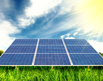 Ground-mounted solar panels installed in a sunny River Oaks yard